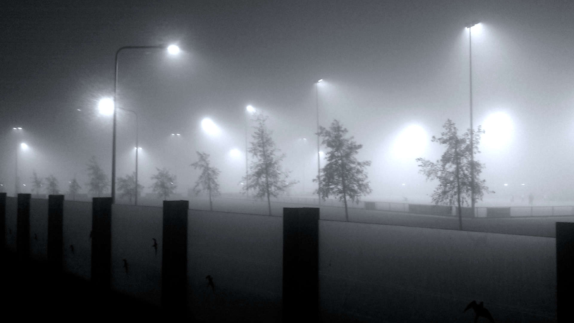 mist sportpark koedijkslanden lantaarnpaal licht nevel