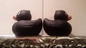 eendjes badeendje eendje