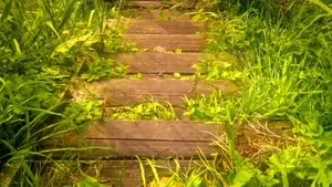 burgemeesterstrap trap trekpontje ringpark meppel