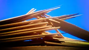 gescheurd hout planken geknakt