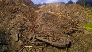 fietsongeval slootafval afval riet