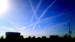 the birds condensstreep vliegtuig silhouet