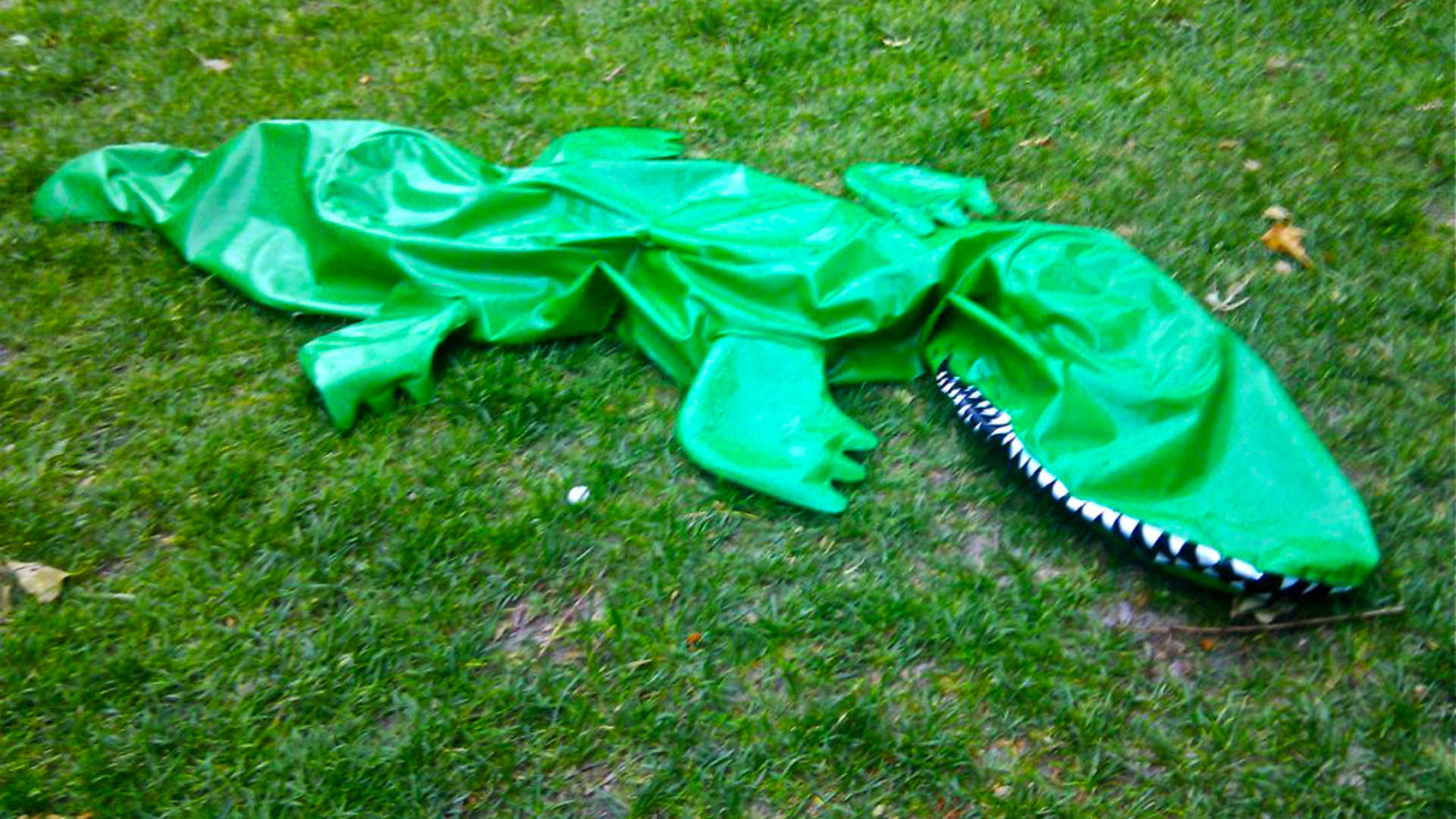 duo crocodile dundee groene krokodil