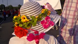 mooi hoedje avond4daagse meppel