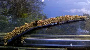 naaldtapijt autoruit ruitenwisser