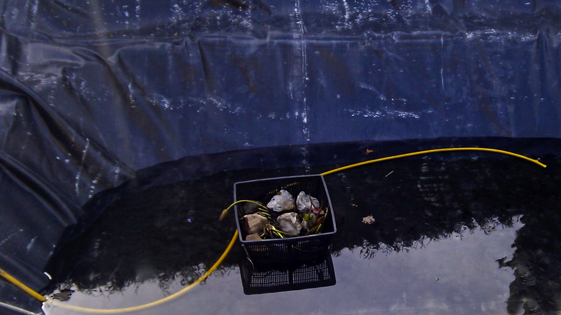 vijver twee punt nul