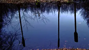 waterloopbos reflectie water sloot