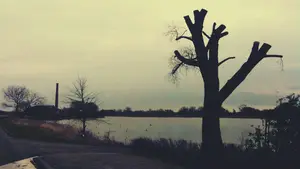 dijkenroute kamper zeedijk