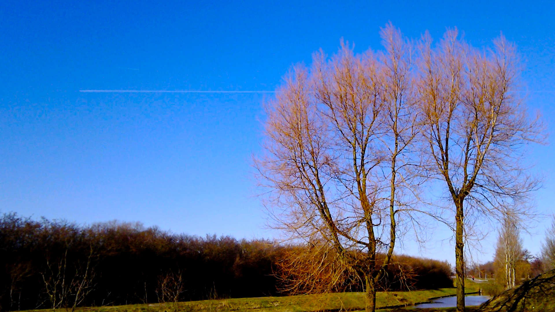 herfstkleuren in de lente
