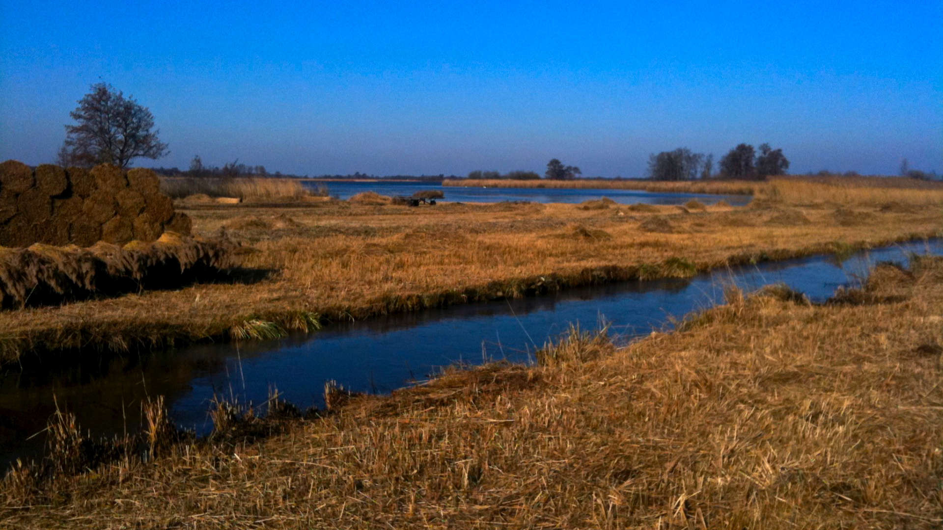 blauw van de kou wieden riet sloot