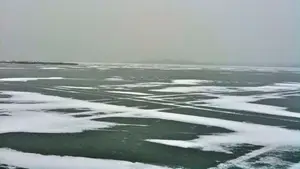 afscheid ijs belterwijde schaatsen winter