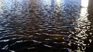 vorstontsnapping water golfjes golven