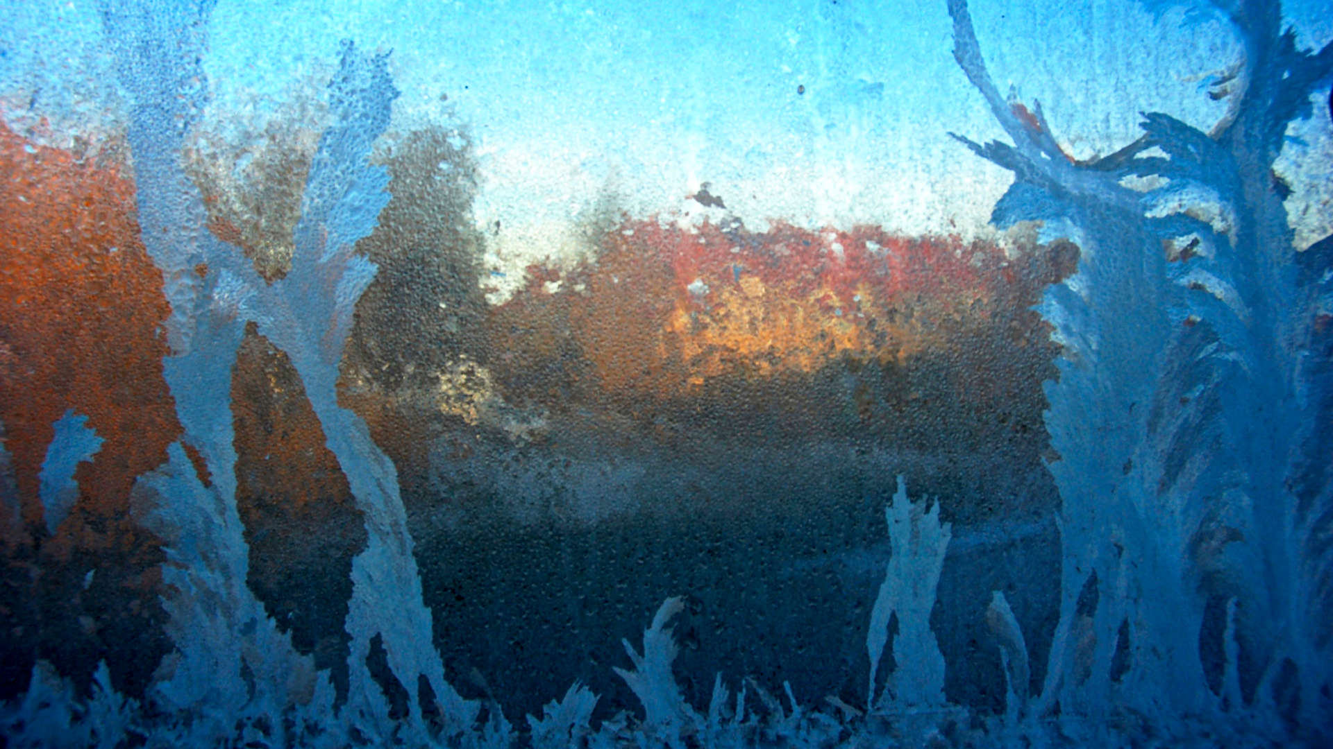 ijskoud raam winter kou ijskristal