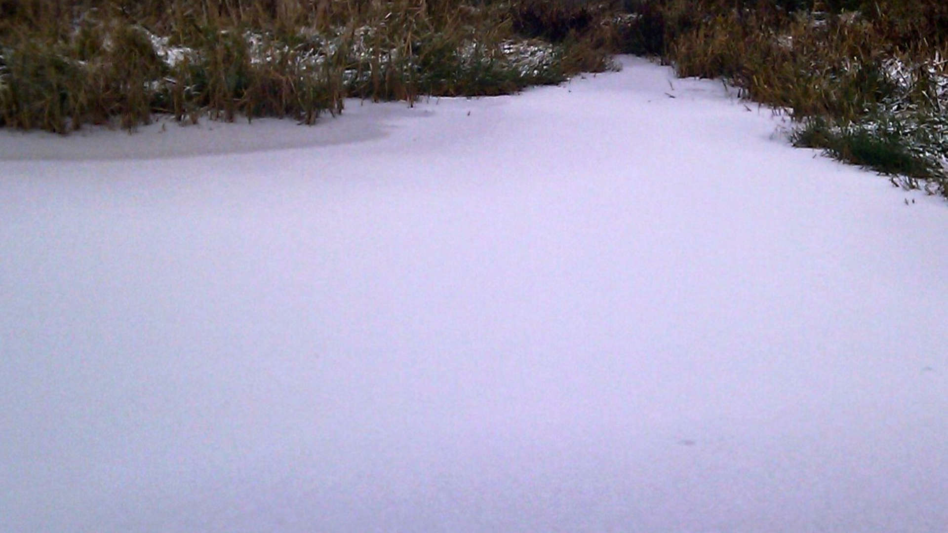 besneeuwde modder sloot ijs winter