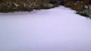 besneeuwde modder sloot ijs winter