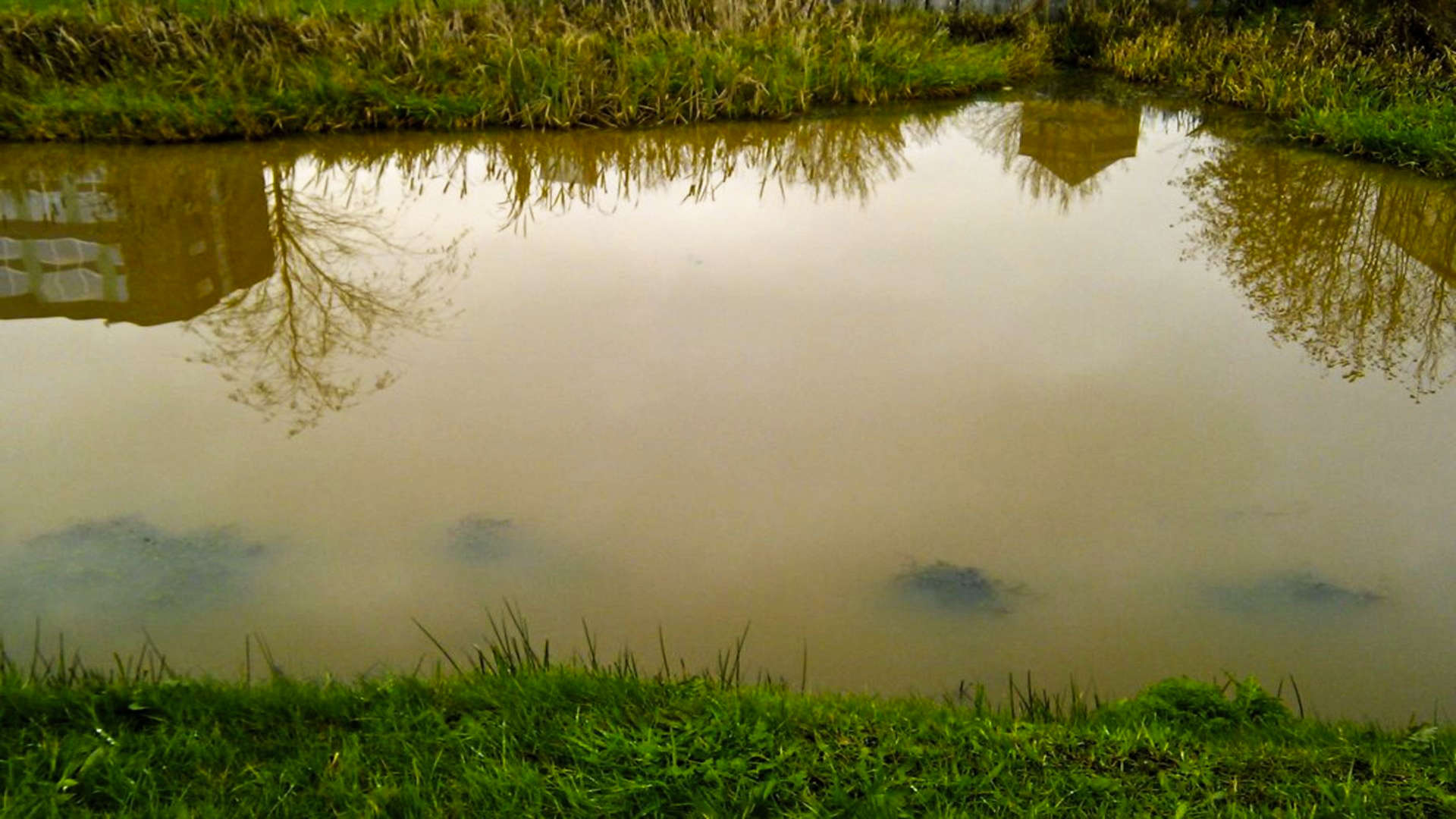 moddersloot sloot reflectie