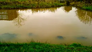 moddersloot sloot reflectie