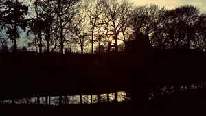 schemerlaan schemer sloot reflectie