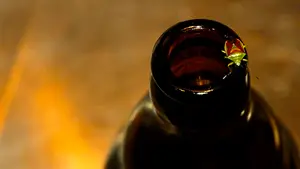 vreemde kostganger op bierfles