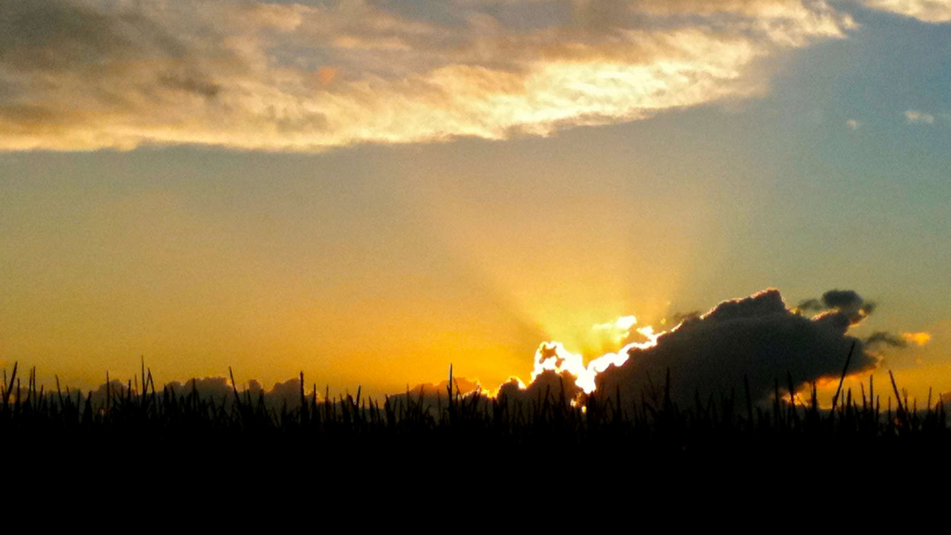 weemoed zonsondergang tegenlicht