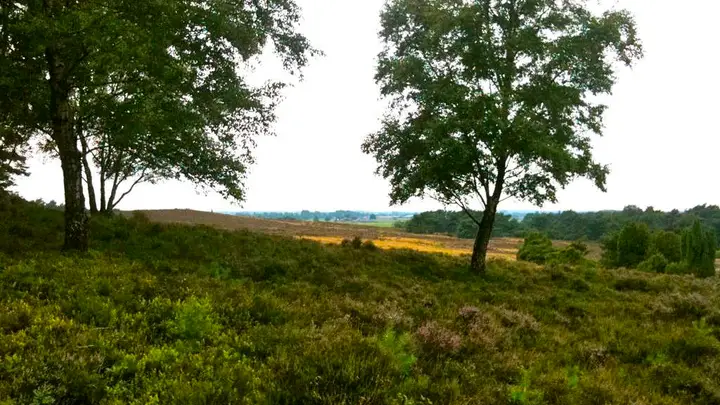 Sfeerplatje Archemerberg