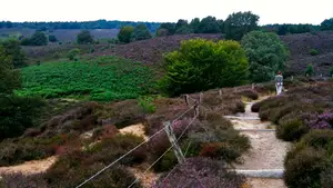 weerzien met de posbank