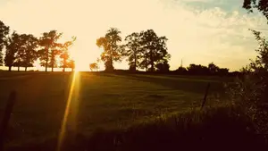 ode aan de langste dag