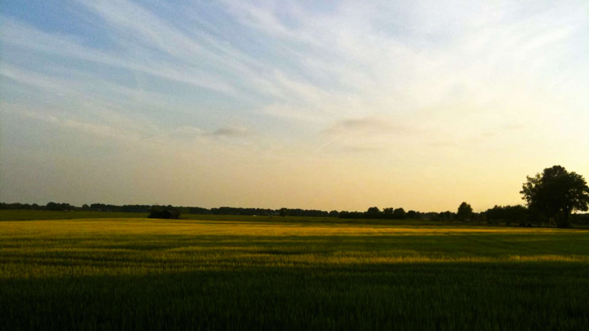 retourtje marterhaar