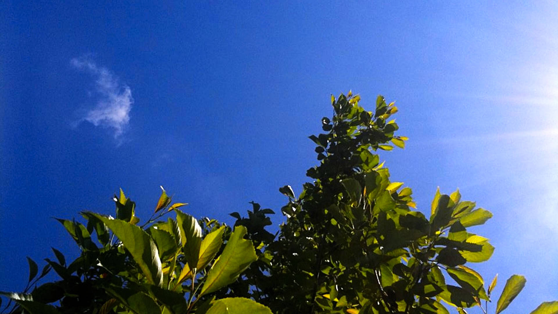 eindelijk hemels blauw