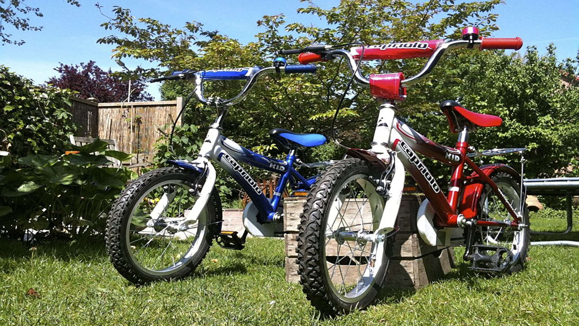 tevergeefse stoerheid