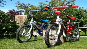 tevergeefse stoerheid