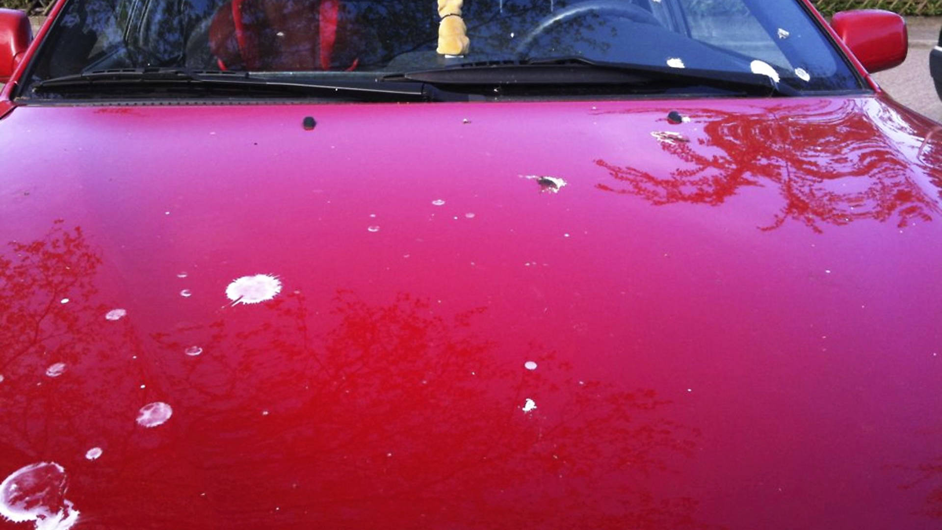 het zal je auto maar wezen