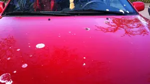 het zal je auto maar wezen