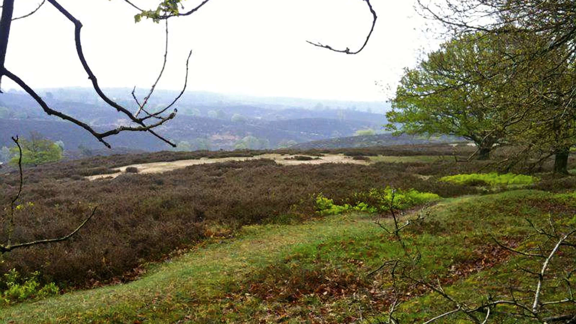 posbank mooiste klim van nederland