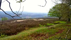 posbank mooiste klim van nederland