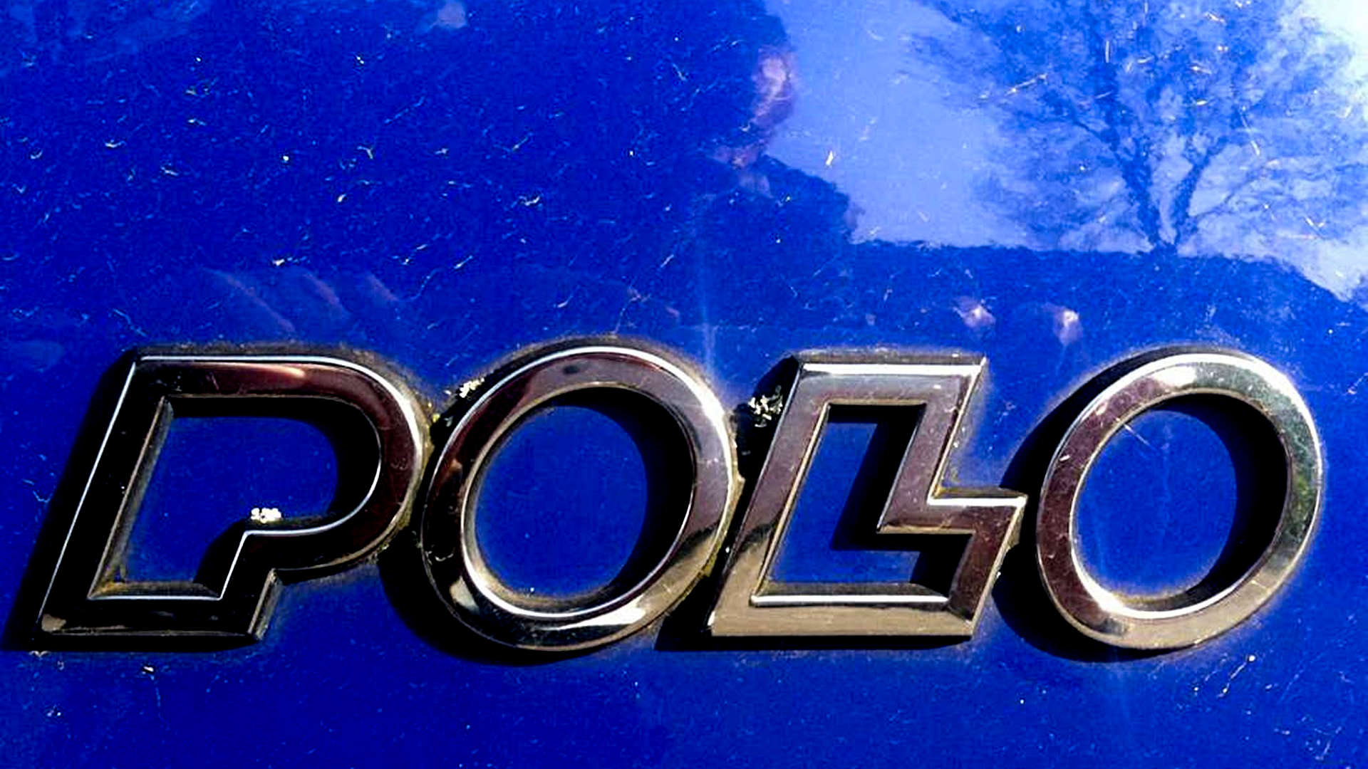 op zoek naar een polo