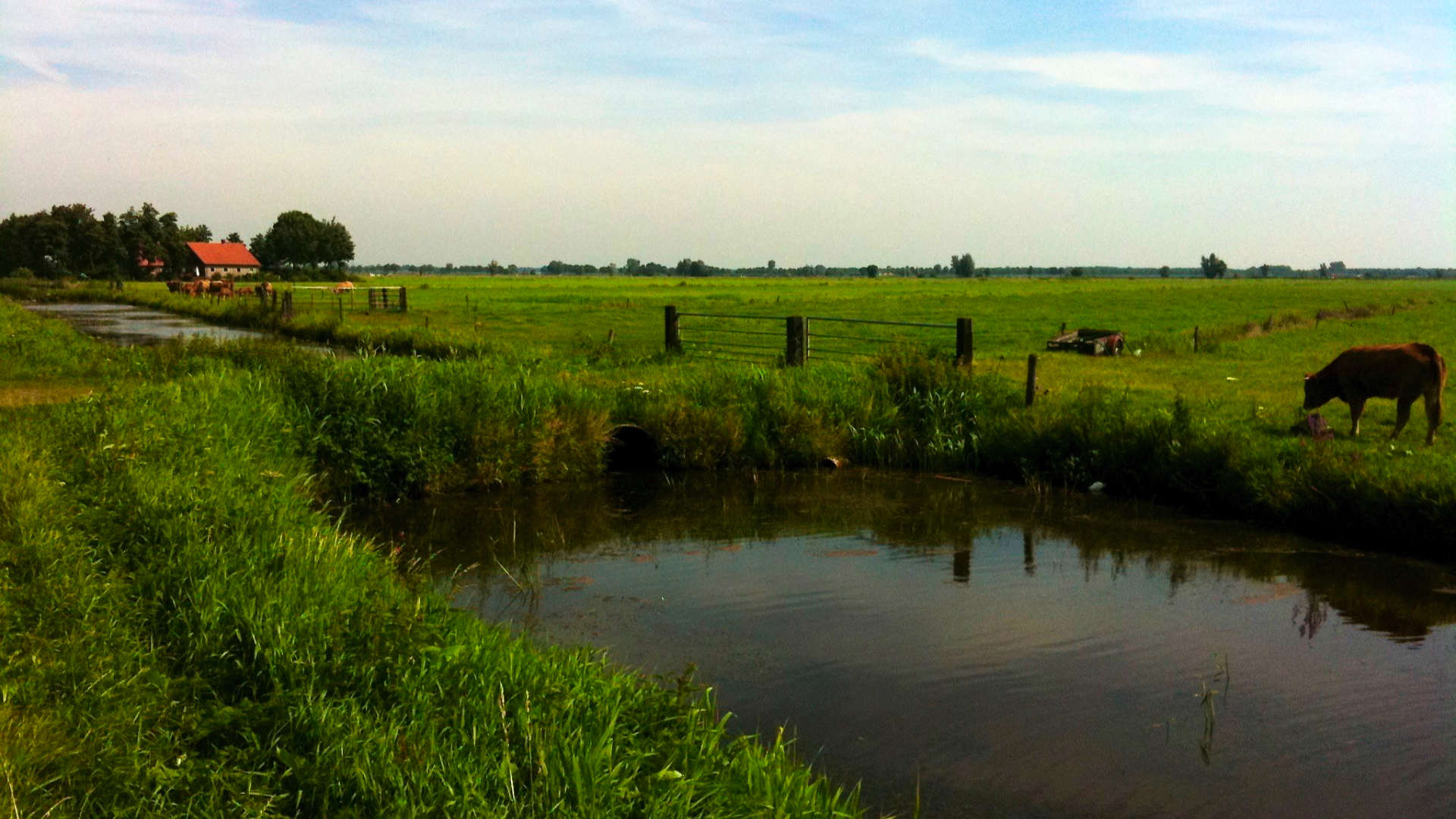 Ode aan het Staphorsterveld