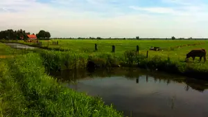 Ode aan het Staphorsterveld