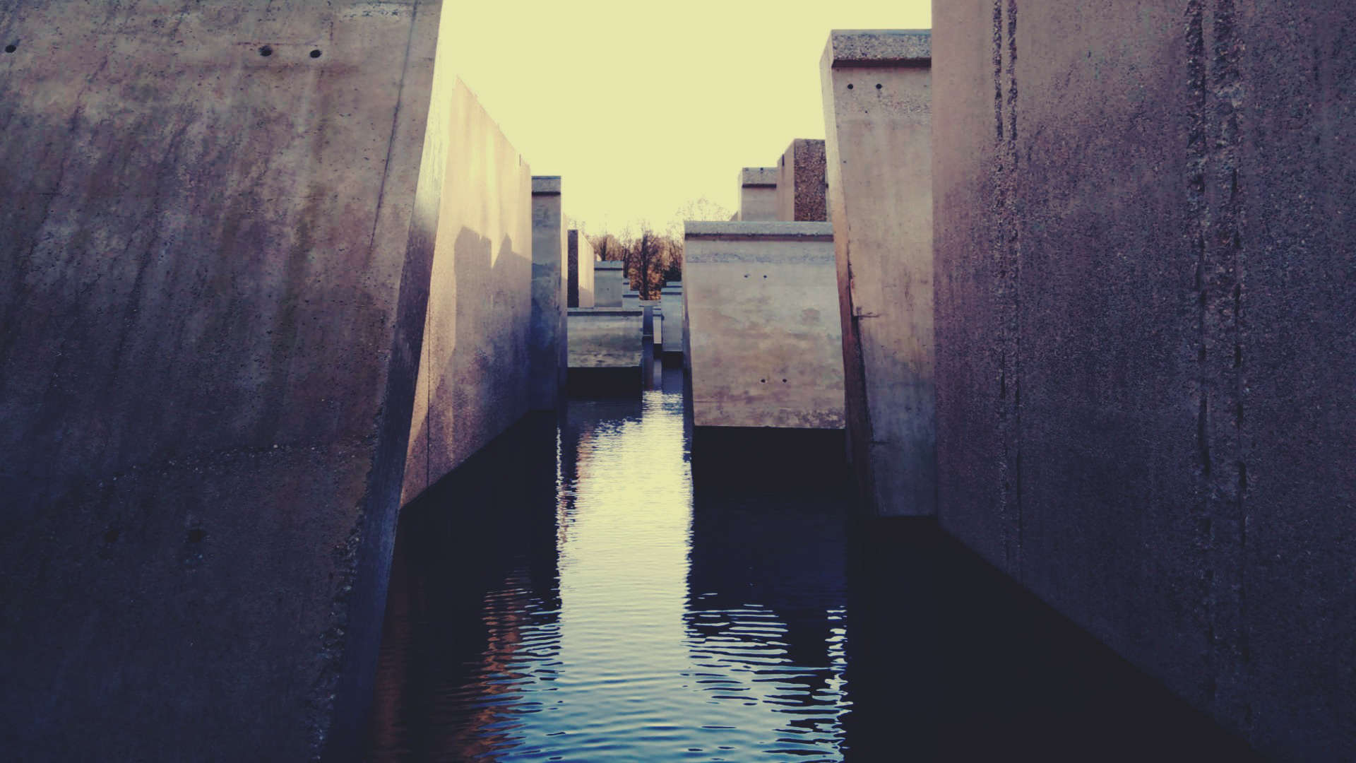 Algen helpen betonfabriek af van CO2