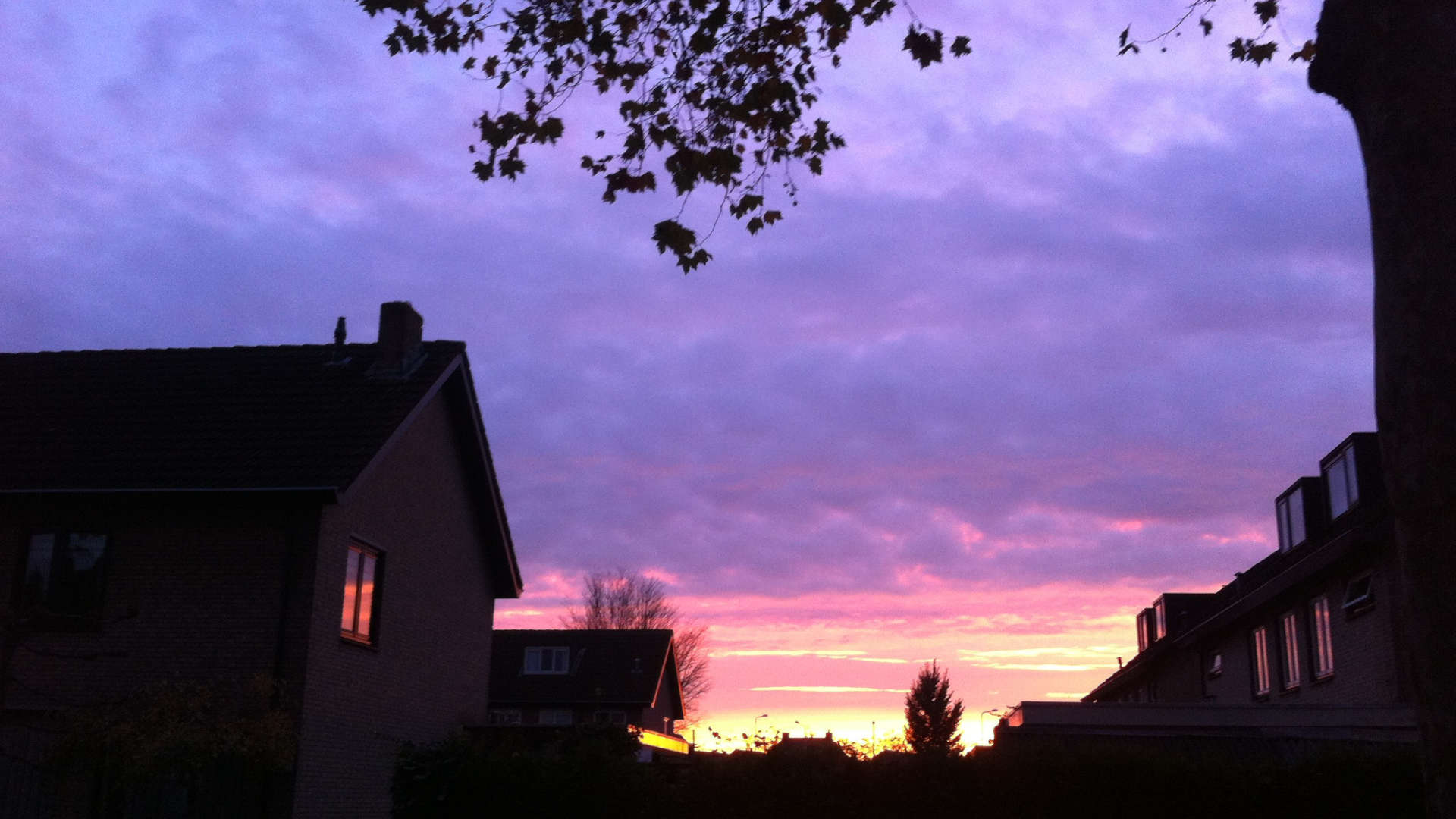 Straatje schoonvegen