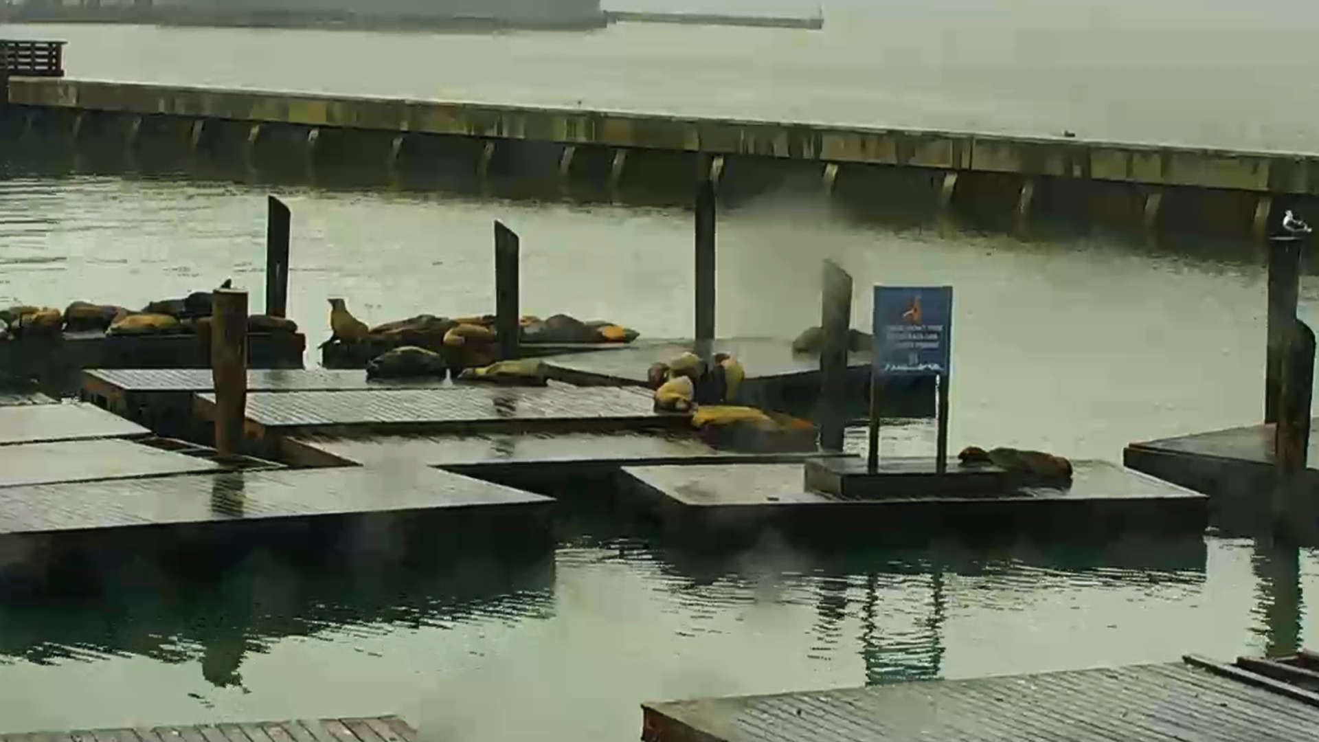 Voyeur op wereldschaal