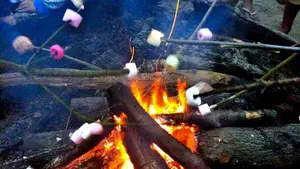 Marshmallows