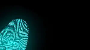 Digitale vingerafdruk bestrijdt P2P-netwerk