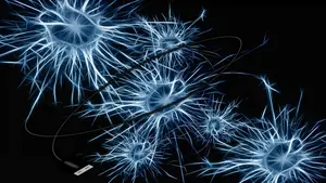 Hersenen praten direct met pc