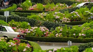 The Streets of San Francisco