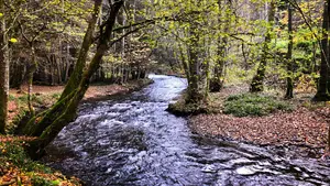 Lokroep van de Ourthe