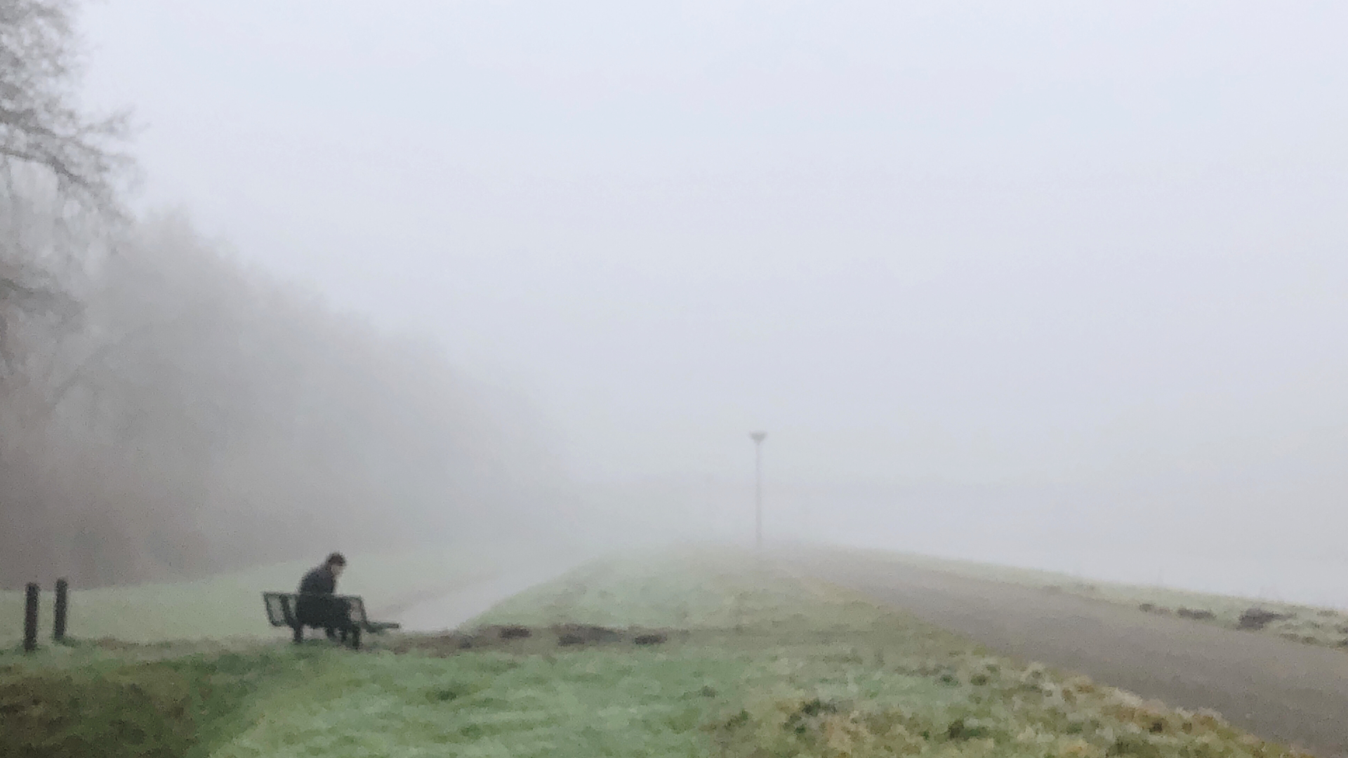 Land van mist