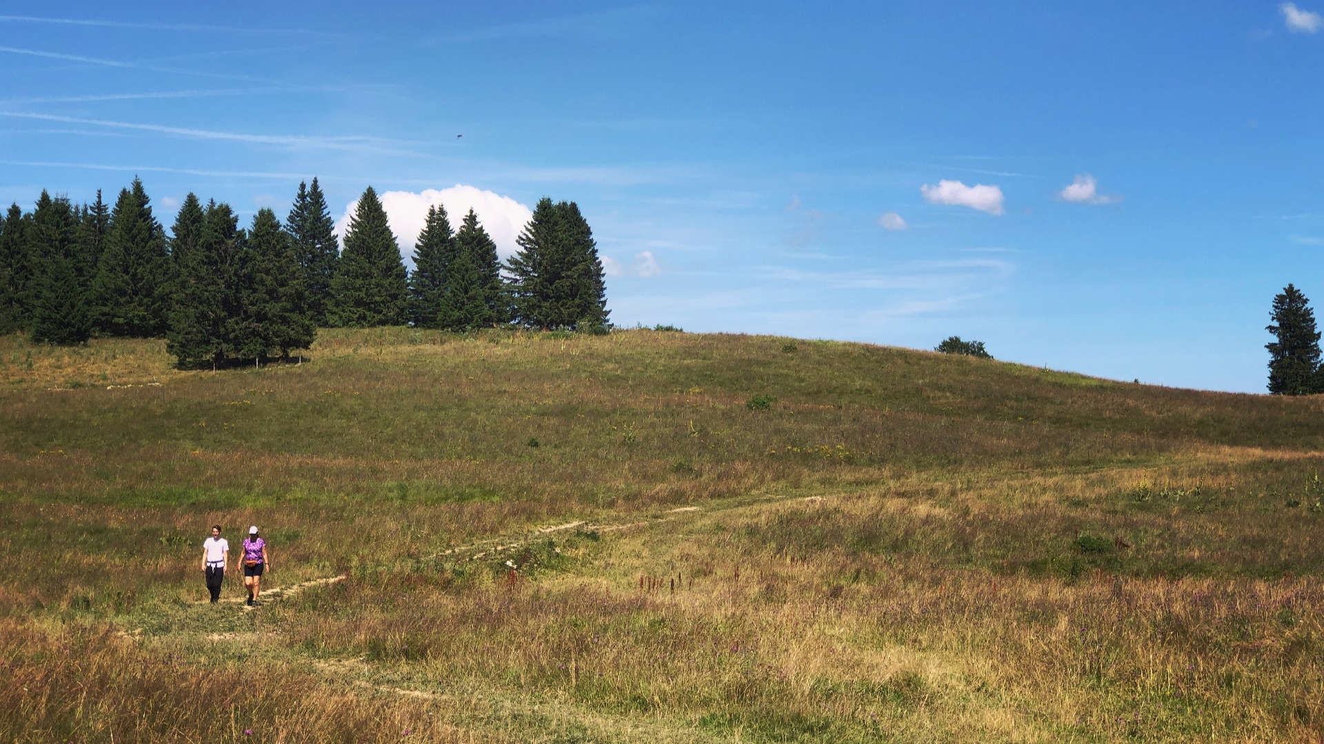 The Living Mountain – Nan Shepherd