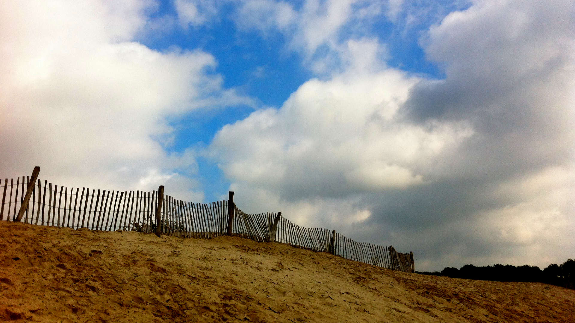 Against the loveless world - Susan Abulhawa