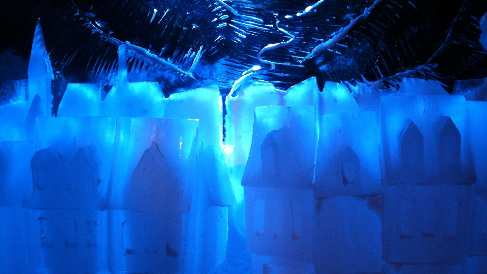 The Michigan hardlooptraining